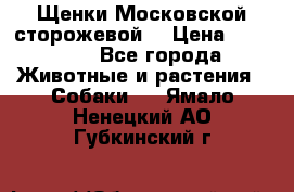 Щенки Московской сторожевой  › Цена ­ 25 000 - Все города Животные и растения » Собаки   . Ямало-Ненецкий АО,Губкинский г.